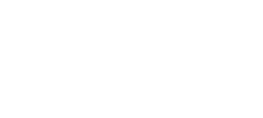 Stanlee India